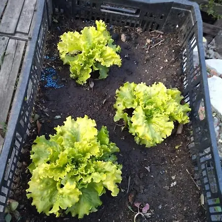 A Finquina Holiday home *